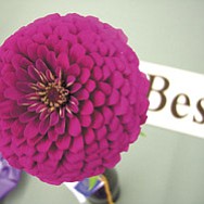 Tease photo