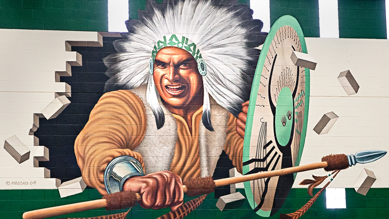 The argument of Native American mascots