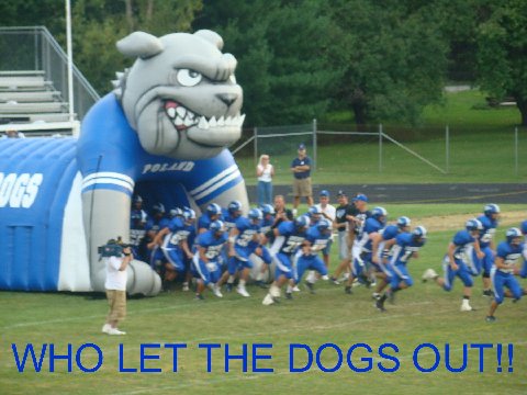 Who let the dogs out!!!!