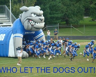 Who let the dogs out!!!!