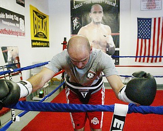 Kelly Pavlik
