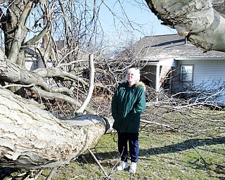 Susan Morgan surveys damage after  2 maple trees fell during early morning windstorm Wed. The trees fell on the deck and porch roof of her home on South Schenley in Youngstown. She was waiting for a tree service to clean up the downed trees. 