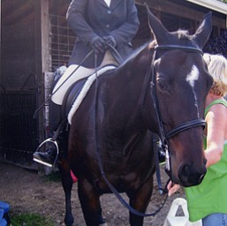 Samantha Henry and her horse, Clay's Pride. Show at Buckeye Park in Canfield. Submitted by Mrs. Rich Henry of Youngstown (grandmother)