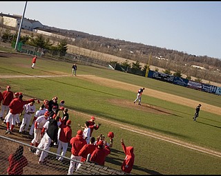 4.2.2008
YSU's Penguins celebrate a run while facing the Duquesne Dukes Wednesday afternoon at Cene Park in Struthers.