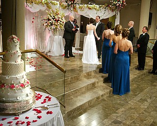 WFMJ Wedding @ The Butler - Regan Cokain and Steven Cheney 