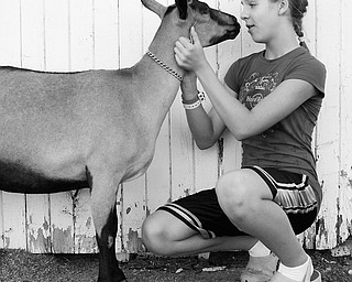 Goat Whisperer: Jenna Parry, 12, of Champion, gives her goat, Ivy, a pep talk before the livestock judging at the Trumbull County Fair on Friday, July 11, 2008.