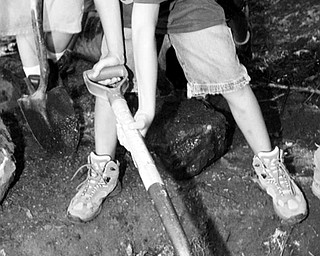 BIG JOB: Trevor Blose, 11, a member of Boy Scout troop 40 of Girard, uses a shovel as he helps out on Jordan Vigorito's Eagle Scout project at the Lily Pond in Mill Creek Park.