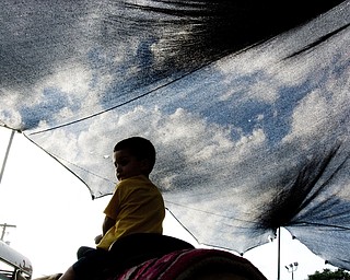 Zachary Nolker, 3, of MacDonald rides a pony under a translucent tent that allows the sky, on this sunny day, to appear on film at the Italian Festival at Mt. Carmel Church in Youngstown, OH. Thursday, July, 24, 2008. Daniel C. Britt.  