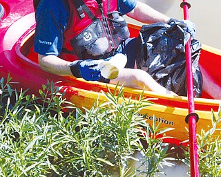 Mill Creek Park Board Commissioner Rick Shale picks litter from plants around shore of Lake Glacier in the park Thursday. WD LEWIS