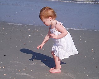 Sydney Henderson, 2, picks up shells at Hilton Head Island, S.C., last summer. Her parents are Todd and Jacey Henderson of Poland.