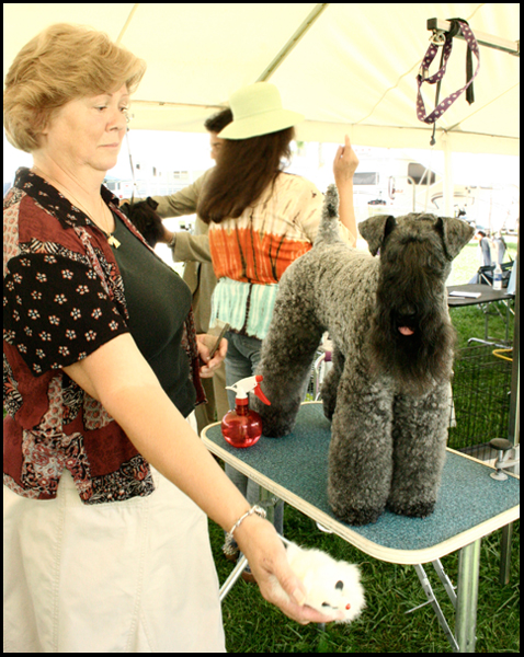 7.31.2008
Reita Nicholson with her showdog Champion Kerrisel's Cudaman.