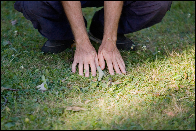7.31.2008
Ed Istnick Jr., of the North Side, warms up in wick park, he has been practicing Tai Chi for about 15 years.
