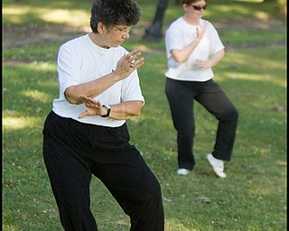 7.31.2008
Marie Lew and Evaline Abram-Diroll, both of the North Side, practice Tai Chi in Wick Park.