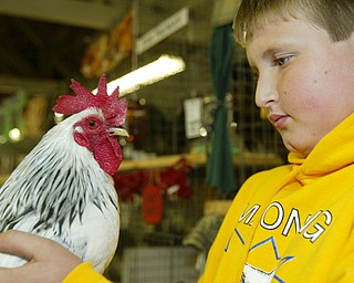 Canfield Fair August 27, 2008