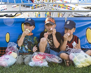 Sweet tooth: L-R Ethan Dunkel, 4, of Boardman; Adam Dewey, 6, of Canfield; and Eric Dunkel, 6, of Boardman, found a shady spot at the Canfield Fair to binge on cotton candy Saturday, August 30, 2008. Daniel C. Britt. 