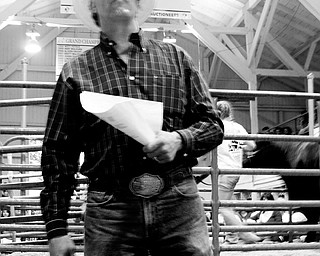 LONG HISTORY: Don Braham of Grove City, Pa., is in his 27th year of auctioning., and was working in the market beef auction Friday at the Canfield Fair. In the audience were local business owners, professionals and residents who enjoy supporting the 4-H members.