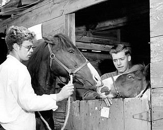 FIFTY YEARS AGO: The Canfield Fair has always attracted youth, as these shots from the 1958 edition show. Luther Mackey, left, and Harry Dailey, both of Columbiana, introduce their horses, "joe Girl and Beedle Bum," in the old stables on the fairgrounds.