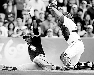I'M SAFE! Alexei Ramirez, left, of the Chicago White Sox yells as he slides in safely to home plate, beating the tag of the Boston Red Sox catcher Kevin Cash in the ninth inning of Chicago's 4-2 win at Fenway Park.