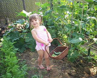 Robert and Stephanie Bishop of Poland sent a shot of their granddaughter, Alexis Antal, 2, of Poland. Every day she checks the growth of all the plants at their garden. Her favorites are her sugar snap peas and cherry tomatoes.