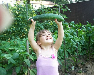 Robert and Stephanie Bishop of Poland sent a shot of their granddaughter, Alexis Antal, 2, of Poland. Every day she checks the growth of all the plants at their garden. Her favorites are her sugar snap peas and cherry tomatoes.