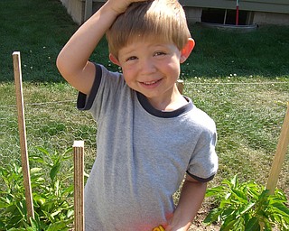 Braden Butler of Youngstown, age 3, is very proud of the peppers that he helped his parents to grow. Parents Brian and Susan Butler.