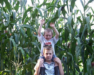 Andrew Brown age 12 and brother Nicholas Brown age 4 checking out their pop corn that they planted from seeds.