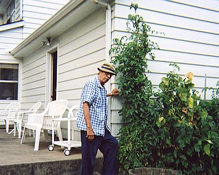 Robert Lysowski of Poland has cherry tomatoes growing next to his house. The garden wraps around most of his house.