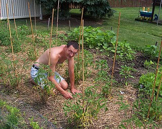 This is Dan Marshall of Boardman, Ohio.
He weeds his garden almost every night and planted 21 tomato plants, zucchini, beans, lettuce, and peppers this year!
His favorite are fried green tomatoes.