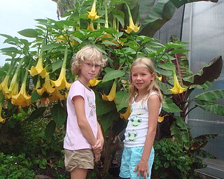 Emma Kadilac and Kristina Tudor admire a tropical plant on their trip to the LakeParks Farm in Cleveland. This field trip was sponsored by the Friends of Fellows Riverside Gardens. Photo by Roselyn Gadd, Veggie Photographer