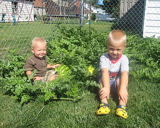 Charisse's sons Kaden & Keaton Mayhew play in their watermelon patch in the back yard. They're sons of Charisse Mayhew.