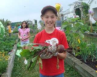 Lauren Freeze admires fresh beets that she picked from her garden at the Metroparks Farm in Canfield. Lauren is a member of the Veggie Garden Program. Photo by Roselyn Gadd, Veggie Photographer