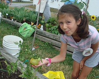Lorraine Fitzgerald holds a ripening tomato in her garden at the Mill Creek Metroparks Farm in Canfield. Lorraine is a member of the Veggie Garden program. All gardens are open to the public, and each have a different scarecrow character in them. Photo by Roselyn Gadd, Veggie Photographer