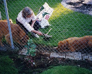 Marilyn Cheney of Poland works in her garden. "It's always nice to get help from 'friends,'" she writes.