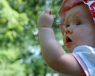 "Pulling Weeds"
This is Cora Rodgers, 6 months old. She is the daughter of Katie & Dave
Rodgers of Beaver Pa, granddaughter of Carol & Dan Shields of Canfield.
Cora was caught helping weed while visiting her grandparents in Canfield.