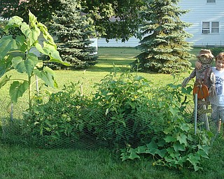Janet and Roger Peskor sent in the photo of their 7-year-old son, Nicholas, who is very proud of his garden and scarecrow.