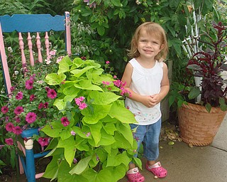 Hailey Skovran from Canfield was on a field trip to Lake Metroparks Farm in Kirtland,Ohio. The field trip was sponsored by the Veggie Garden program of Fellows Riverside Gardens. The photo was taken by Roselyn Gadd , Veggie Photographer.
