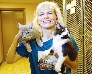 PICK ME: Susan Miller, Lawrence County Humane Society board member, holds kittens waiting to be adopted at the society's New Castle headquarters.