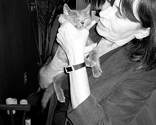 CATS AVAILABLE: Linda Smilek holds one of the felines she and others have protected in Ellwood City. Soon the women will have a new place on Lawrence Avenue where the animals can be protected until someone claims them.