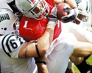 GOING GREEN: Ohio State running back Baiel Herron, a Warren Harding High graduate, bulls his way for a few yards as Ohio's A.J. Oxley (67) hangs on during the third quarter of Saturday's game in Columbus.