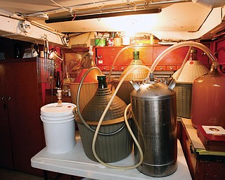 Richard Tomory of Campbell has won gold and bronze medals for his home brewed mead and hard cider. He's been brewing beer for decades.