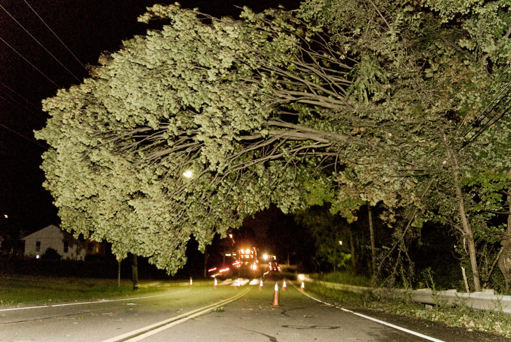 A storm damaged tree has a fifty-yard stretch of Churchill Road in Liberty blocked off.