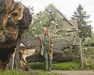 Nancy Anthony was days away from moving into 1227 Main Street in Warren when last night's storm changed her mind. The giant maple in front of the house blew over onto it. "It was in God's plan," she said. 