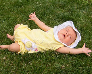Normally we would vacation at the beach in July. As Katie was born in May and would be too young for a trip to the ocean, we decided to stay at home in Greenford. Katie, however, enjoyed vacationing in the backyard at Grandma and Grandpa’s home in Greenford. Grandpa and Grandma are Richard and Dorothy Conkle of Pine Lake Road. As you can tell, she enjoys being outside and will probably enjoy a beach vacation next year.
Bob and Terri Dance
Salem, OH