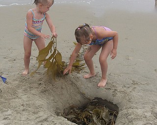Julianna and Madison Hornikel, cleaning up San Clementa Beach, Ca... Granddaughters of Gary and Vera Orosz
We live in Canfield, Ohio and spent a month in Dana Point, Ca.
Our grandchildren live in Girard and also spent the vacation time with us.....