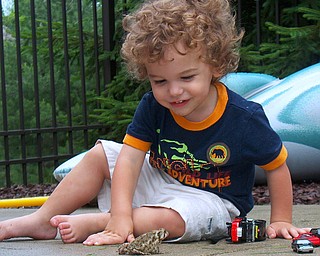 This is a picture of 2 year old Joey Wrenn of Poland playing with a new friend.
Parents: Joe and Debi Wrenn