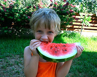 We took our 3 young children to Cyprus this summer to meet their cousins for the first time. As you can see, what they loved most was the Karpuzi (Watermelon)!

Lydia with Karpuzi
Jef Davis
Poland