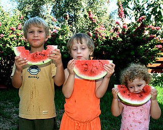 We took our 3 young children to Cyprus this summer to meet their cousins for the first time. As you can see, what they loved most was the Karpuzi (Watermelon)!
Alonzo, Lydia, and Loukia with Karpuzi
Jef Davis
Poland, OH
