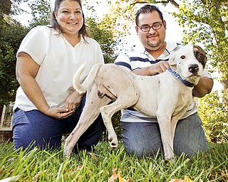 Charlene DePalma, who helped this dog named Vinny who was hit by car, and Louis Gastelum, who is providing foster care for the dog, at Gastelum's Youngstown home.