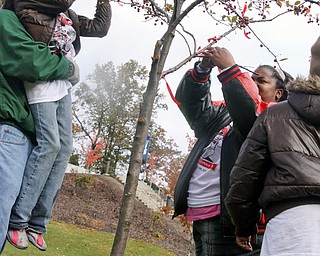L-R Volunteer Tim Grimmett of Cortland helps Chardonnay Borranuo (8) tie a red ribbon to the Tree of Remembrance for the ASAP race, Saturday October 25, 2008/ On the right is her mother Bessie Coker and sister, Zariah (10) who hang ribbons in remembrance of their loved one.