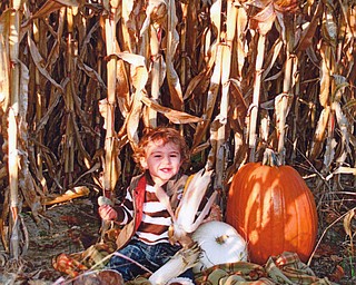 Carson Arforas, 18 months, enjoys a fall day with his pumpkins. He's the son of John and Lori Arfaras of Canfield.